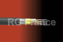FIBRES OPTIQUES arm�es OM1