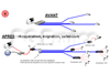 Migration CCTV vers vid�o IP