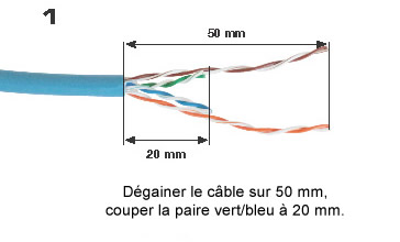 Plug angulé RJ45 non blindé sans outil pour câbles réseaux Cat.6A (par 10)  [PLUG6ANB-10] : RG France, le câble par excellence