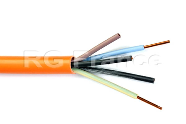 Câble anti-feu PYRO 2x2.5mm² non armé 300/500V rigide CR1/C1 en T/500m - Cliquez sur l'image pour la fermer